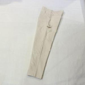 StanRay / Double Knee Painter Pant_Natural