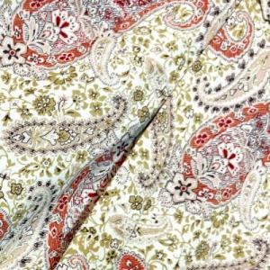 Engineered Garments/Popover BD Shirt_Paisley Print