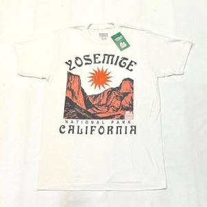 VARIOUS PRINTS / NATIONAL PARKS T-Shirt